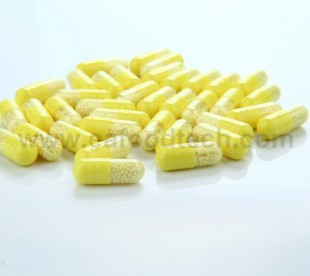 Zinc Citrate Sustained-Release Capsules