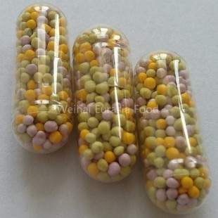 Multivitamin and Mineral SR Pellet Filled Capsules, Multivitamin and Mineral SR Pellet Filled Capsules